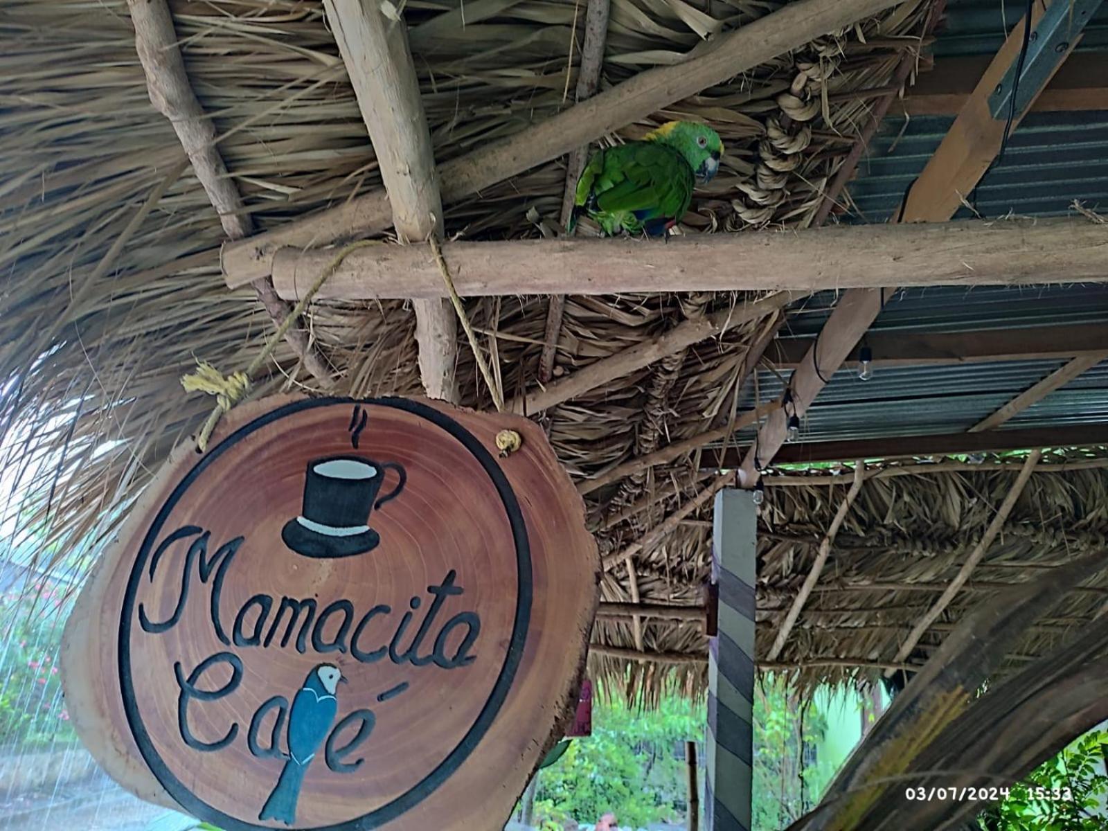 Mamacita Cafe House Hotel Moyogalpa Exterior foto